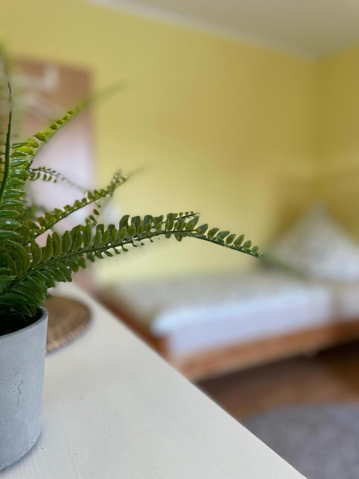 Modernes Appartement Im Gruenen, Mit Park- Und Meer-Naehe Bad Zwischenahn Exterior foto